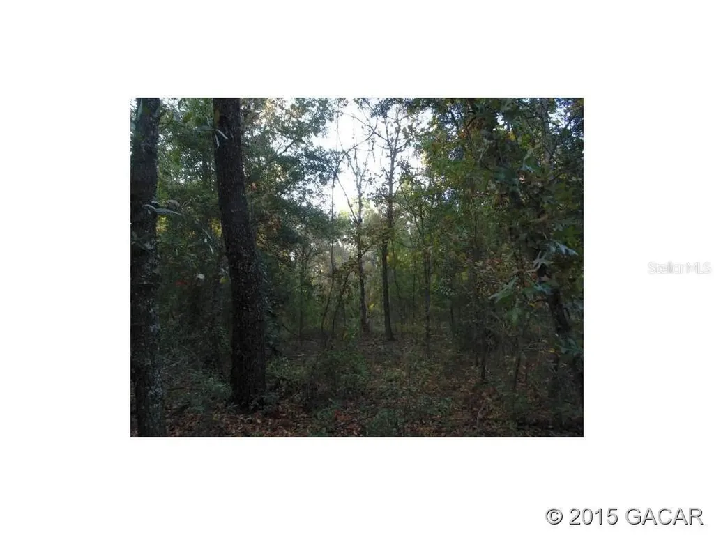 Lot 18 44 Street Keystone Heights FL 32656