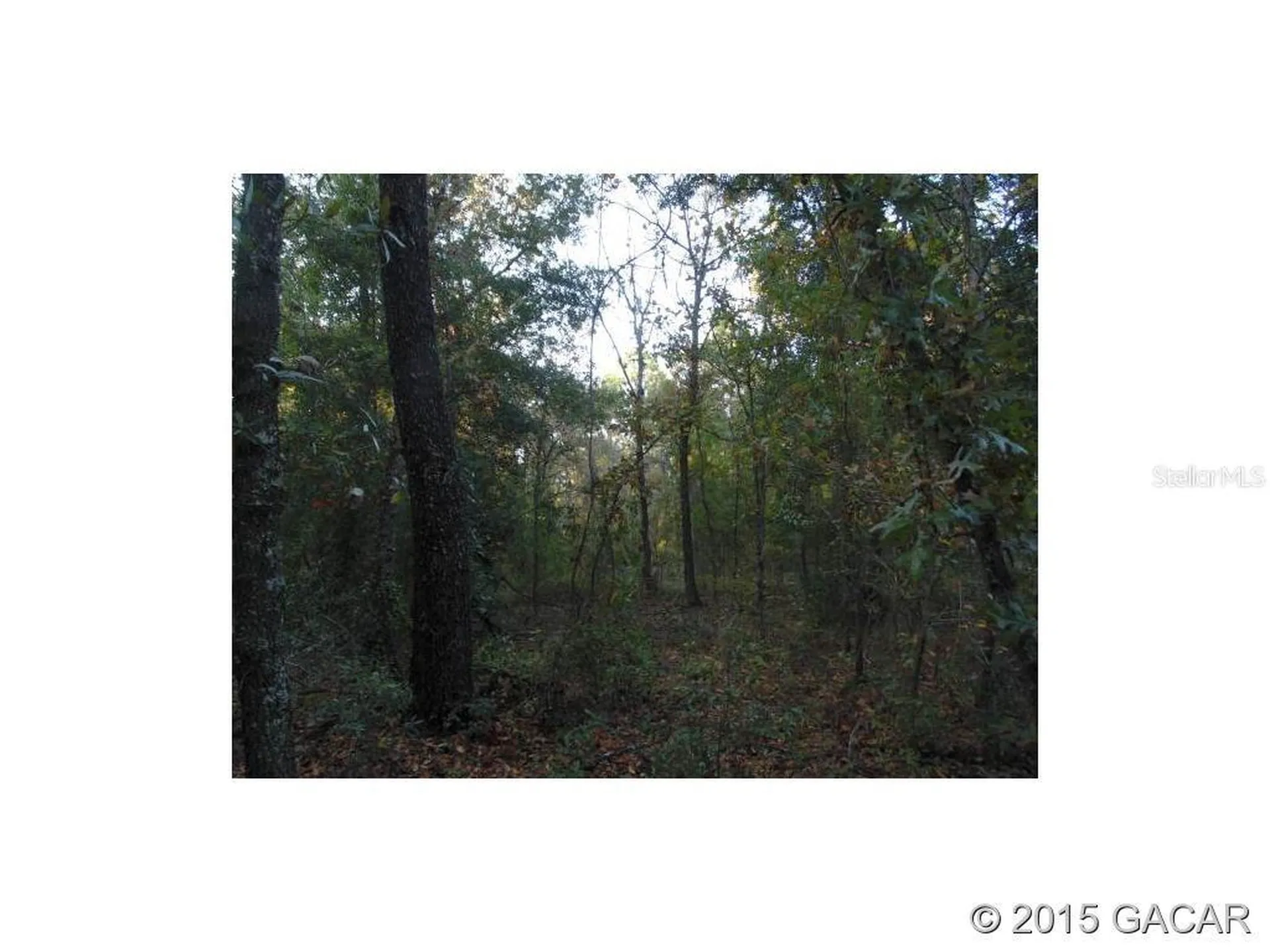 Lot 18 44 Street Keystone Heights FL 32656