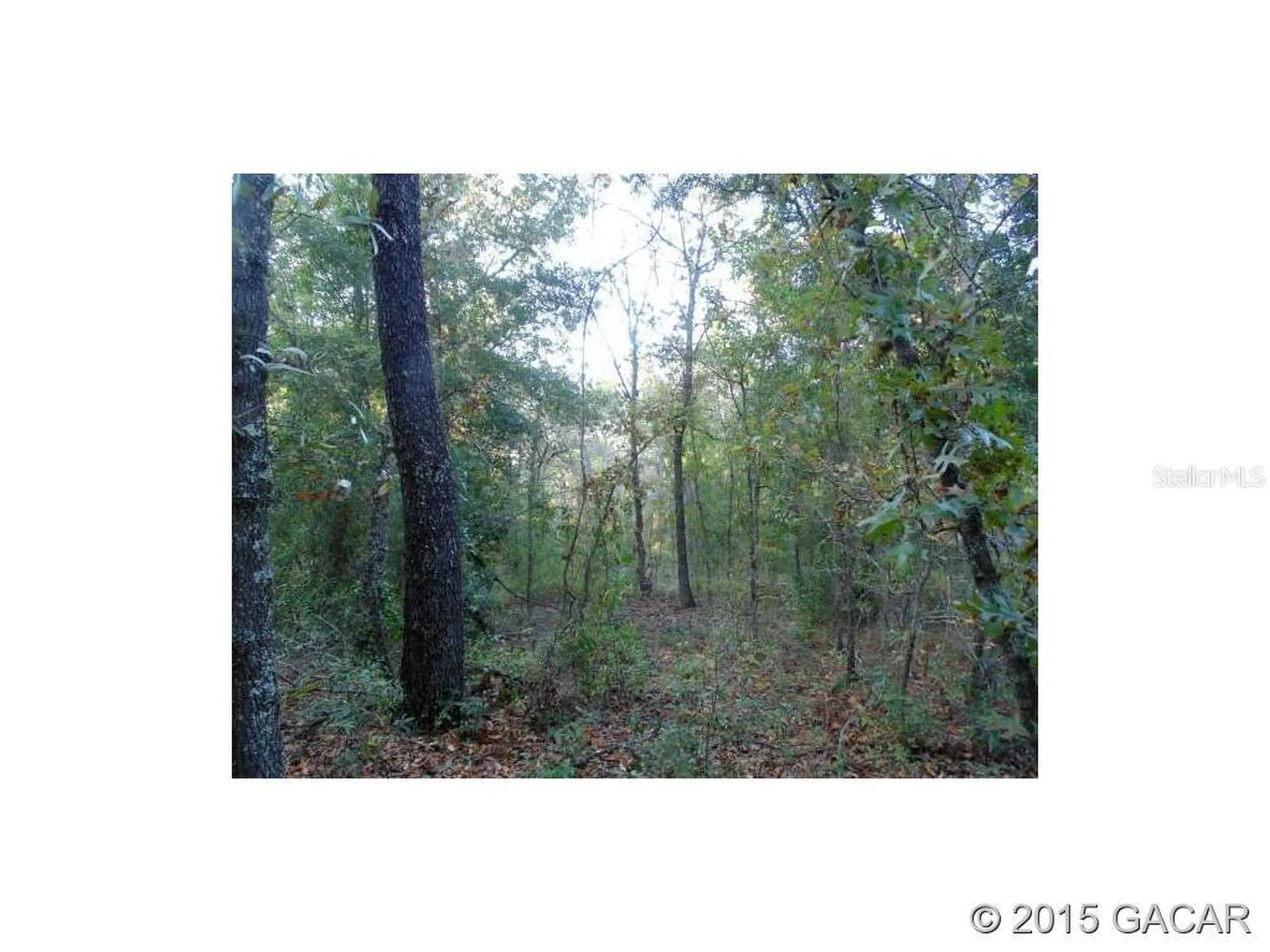 Lot 18 44 Street Keystone Heights FL 32656