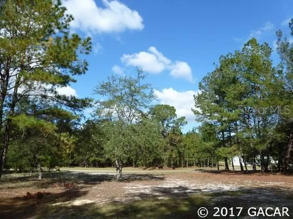 107 Paran Drive Melrose FL 32666