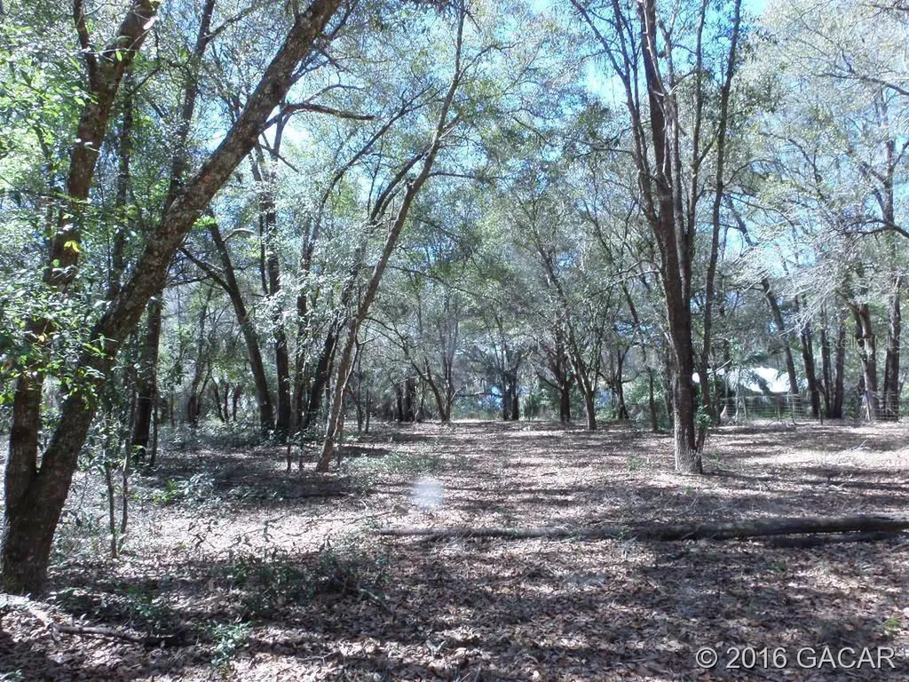 163 Ashley Lake Drive Melrose FL 32666