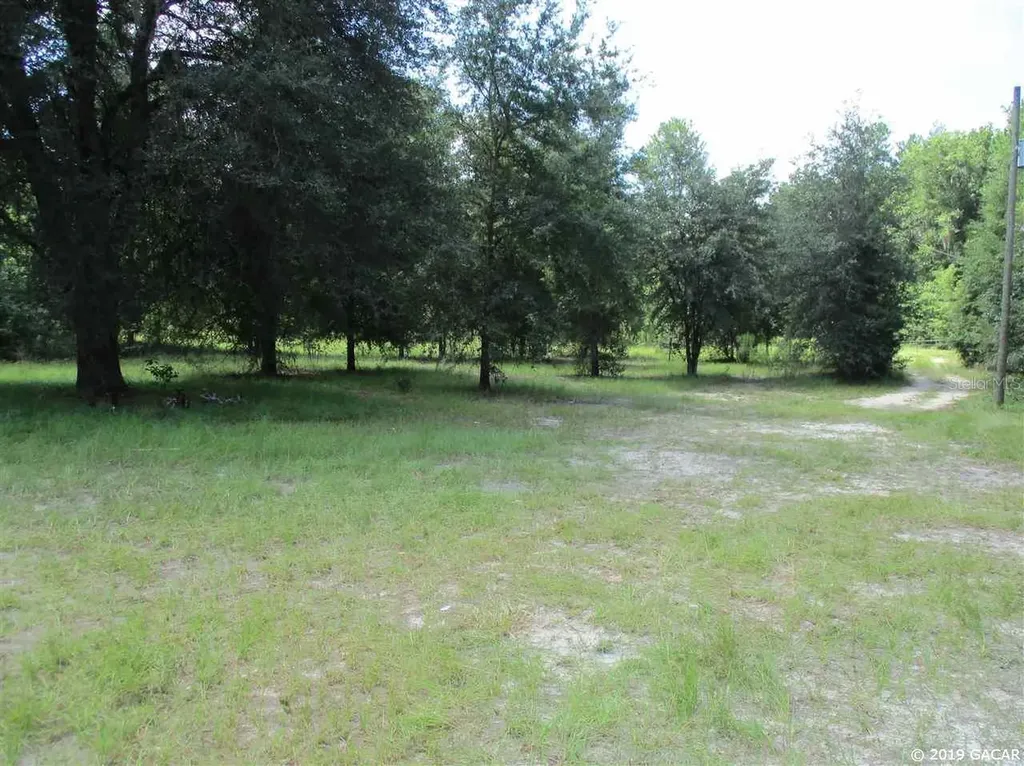 298 SW Dakota Court Fort White FL 32038