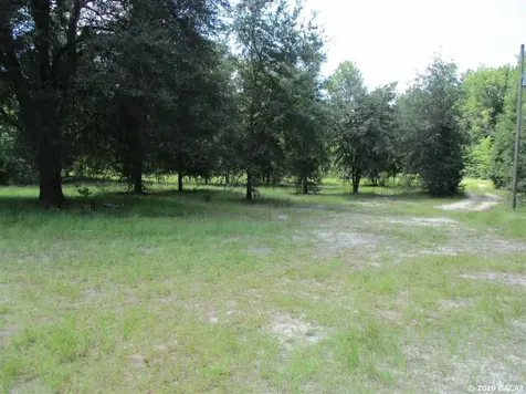 298 SW Dakota Court Fort White FL 32038