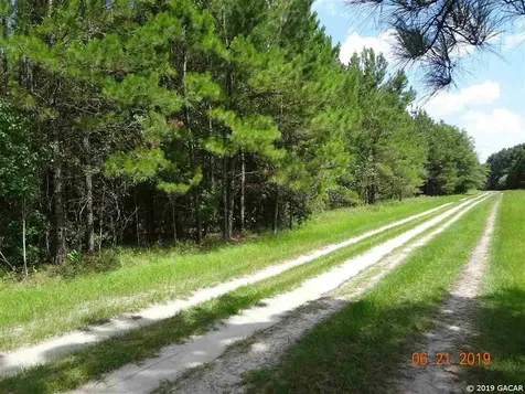26909 NW Cr 239 Alachua FL 32615