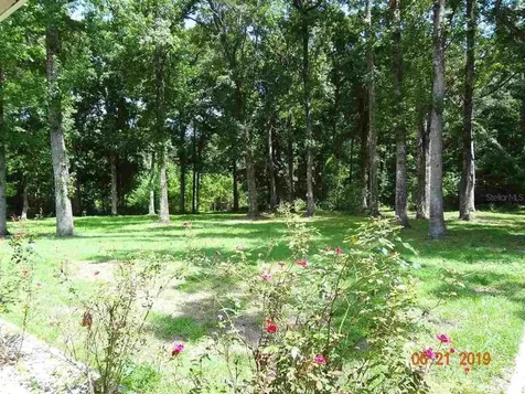 26909 NW Cr 239 Alachua FL 32615
