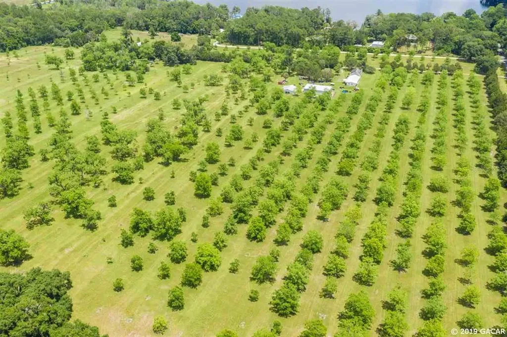 20230 NE 132nd Avenue Waldo FL 32694