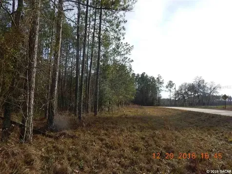 7500 NE 24th Loop High Springs FL 32643