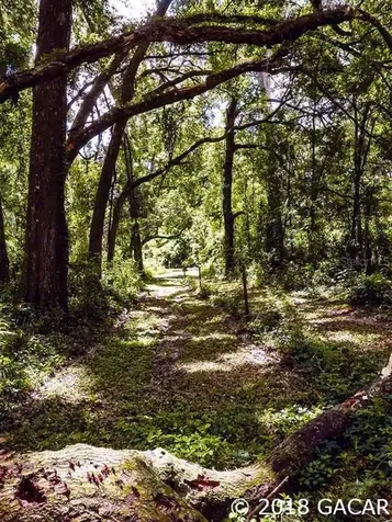 11204 SW State Road 45 Archer FL 32618