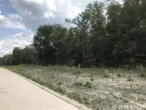 409 NW 91st Street Branford FL 32008