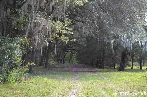 21519 NW 29th Terrace Brooker FL 32622