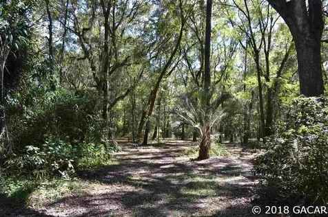 21519 NW 29th Terrace Brooker FL 32622