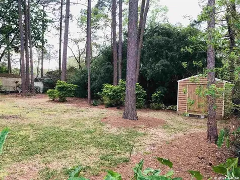 5902 NW 29th Street Gainesville FL 32653