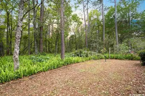 2319 NW 44th Place Gainesville FL 32605