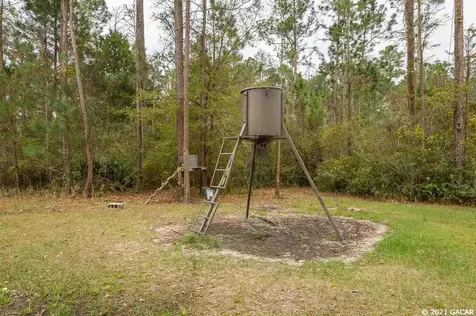 809 SW Van Buren Road Mayo FL 32066