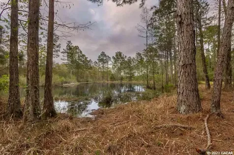 809 SW Van Buren Road Mayo FL 32066