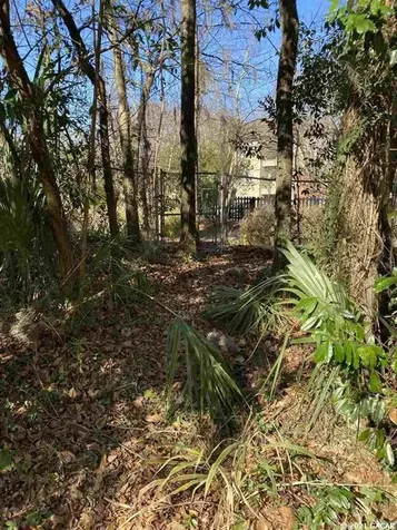 1040 SW 11th Terrace Gainesville FL 32601