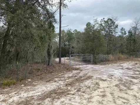 115 Oakwood Village Lane Hawthorne FL 32640