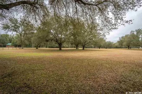 160 NE Castagna Lane Mayo FL 32066