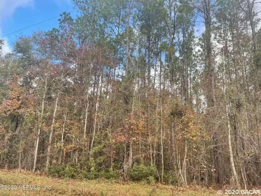 Tbd NW 137th Street Lake Butler FL 32054
