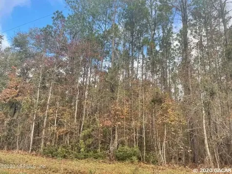 Tbd NW 137th Street Lake Butler FL 32054