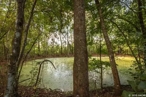 2330 NW Lower Springs Road Lake City FL 32055