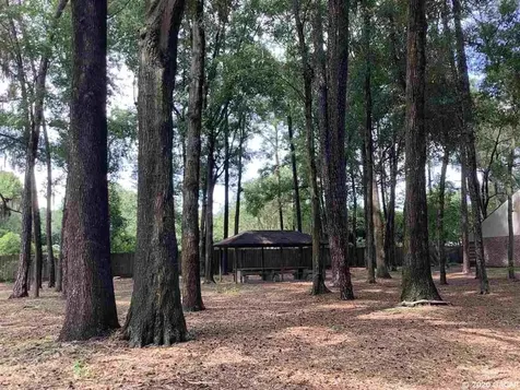 5117 NW 33rd Place Gainesville FL 32606