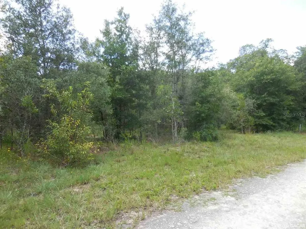 750 NE 139th Avenue Williston FL 32696