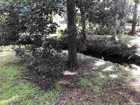 6822 NW 111th Lane Alachua FL 32615
