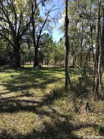10619 SE County Road 337 Trenton FL 32693