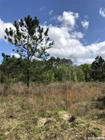 10619 SE County Road 337 Trenton FL 32693