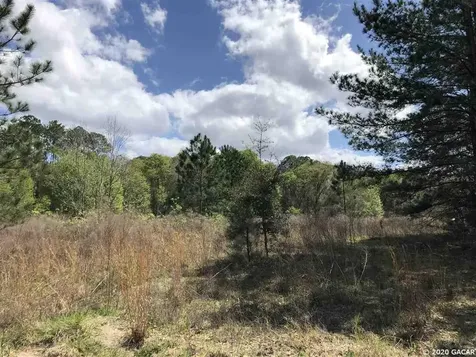 10619 SE County Road 337 Trenton FL 32693