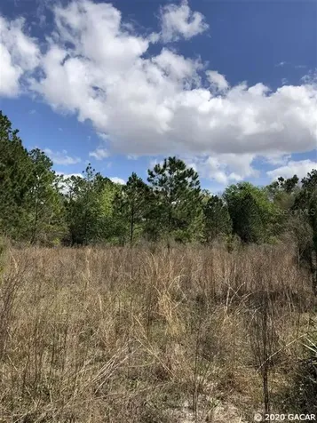 10619 SE County Road 337 Trenton FL 32693