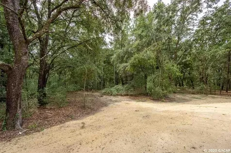 55 Deer Trail Circle Bronson FL 32621