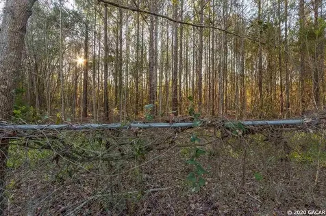 11626 NW 74th Terrace Alachua FL 32615