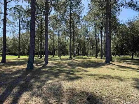 17817 NW 175th Avenue Alachua FL 32615