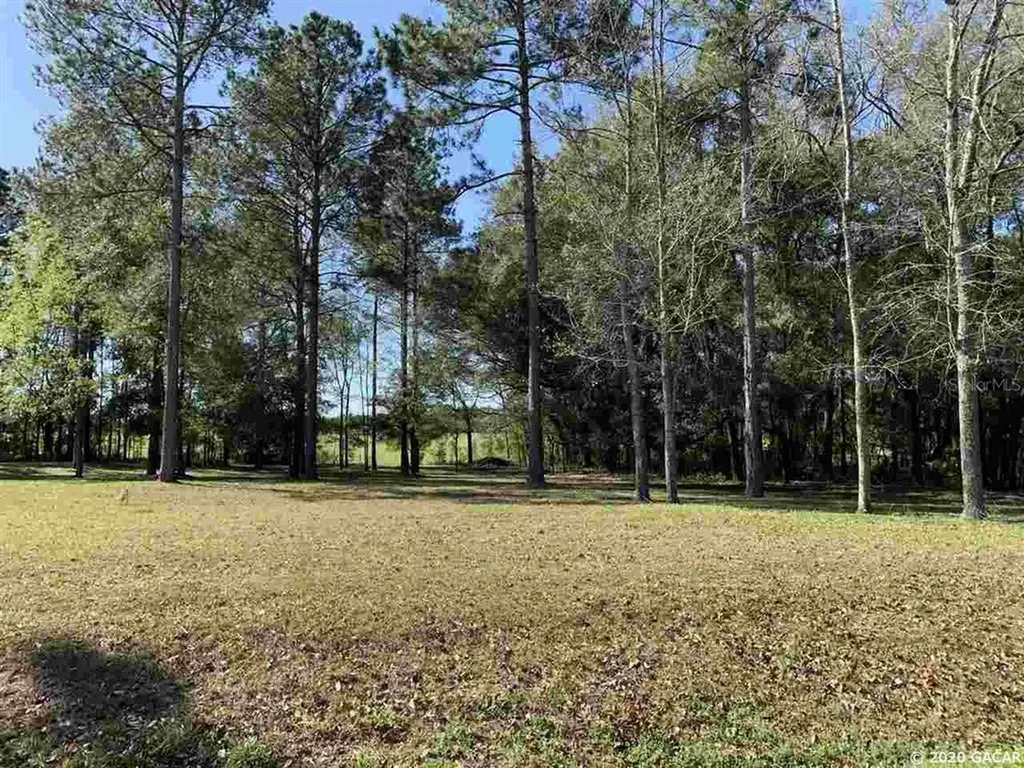 20823 NW 159th Lane High Springs FL 32643