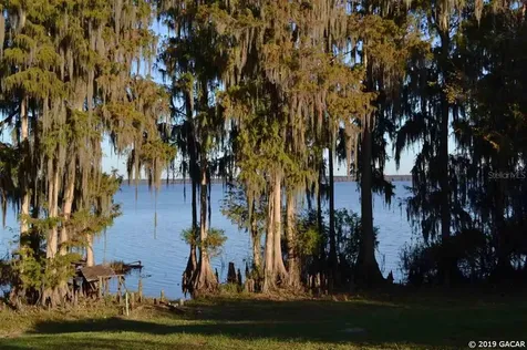 251 SE 74th Street Gainesville FL 32641