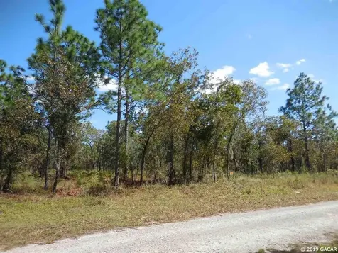 351 NE 131st Avenue Williston FL 32696