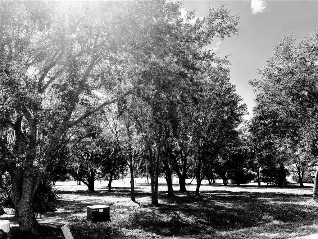 Palm View Road Sarasota FL 34240