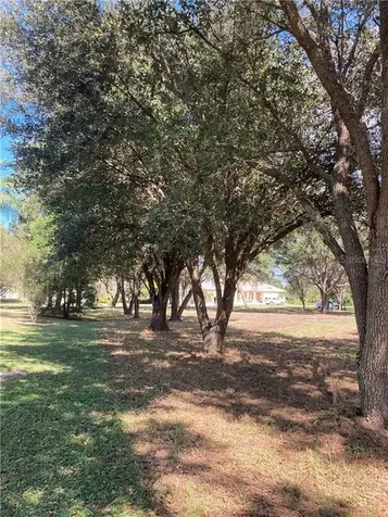 Palm View Road Sarasota FL 34240