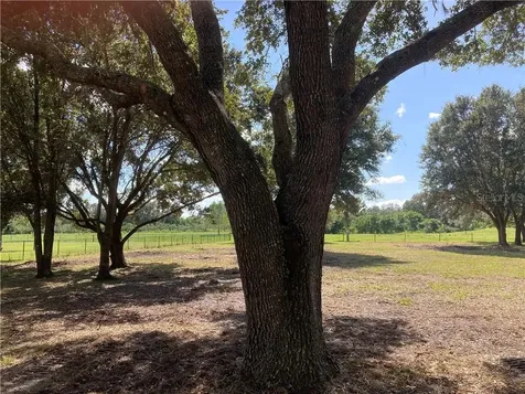 Palm View Road Sarasota FL 34240