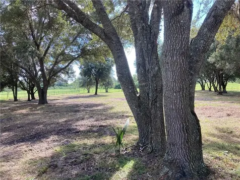 Palm View Road Sarasota FL 34240