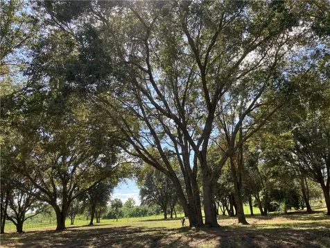 Palm View Road Sarasota FL 34240