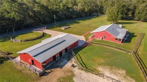 15981 NW 185th Street Williston FL 32696