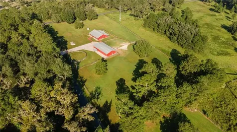 15981 NW 185th Street Williston FL 32696
