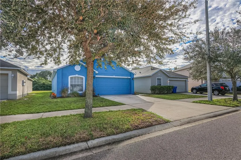 1007 Brenton Leaf Drive Ruskin FL 33570