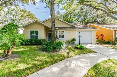 1485 Loman Court Palm Harbor FL 34683