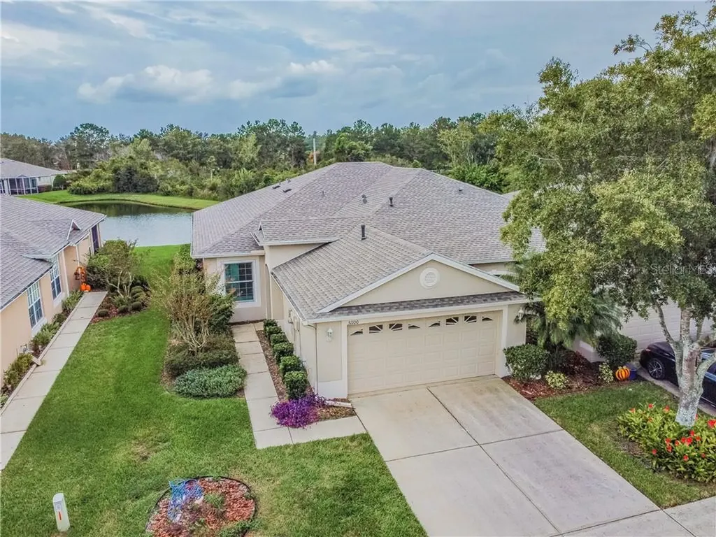 31100 Whitlock Drive Wesley Chapel FL 33543
