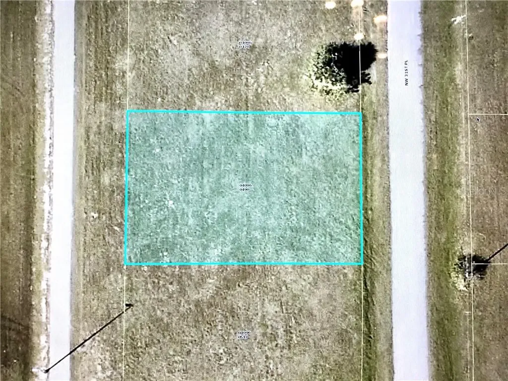 1604 NW 31st Place Cape Coral FL 33993