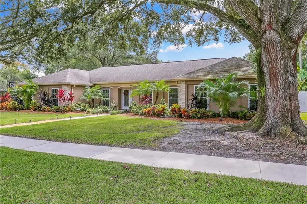 1202 Beacon Hill Drive Tampa FL 33613